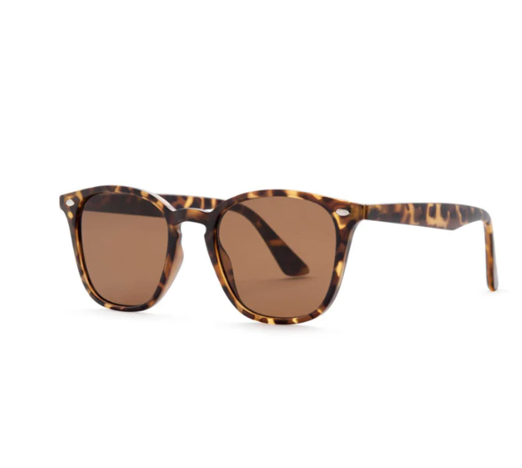 Reality The Chelsea Sunglasses | Matt Turtle