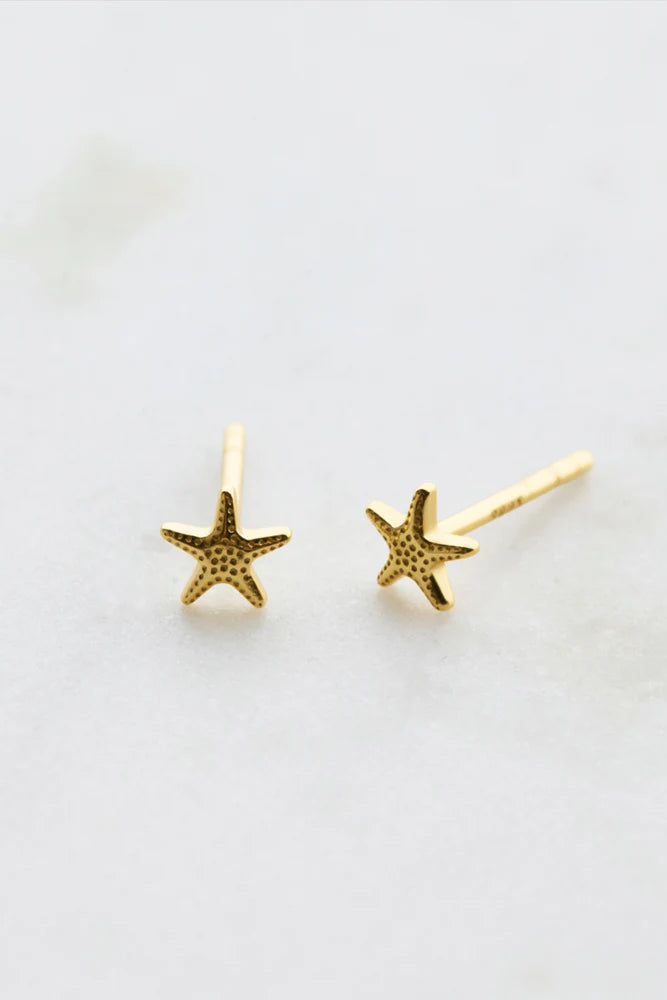 Zafino | Starfish Stud