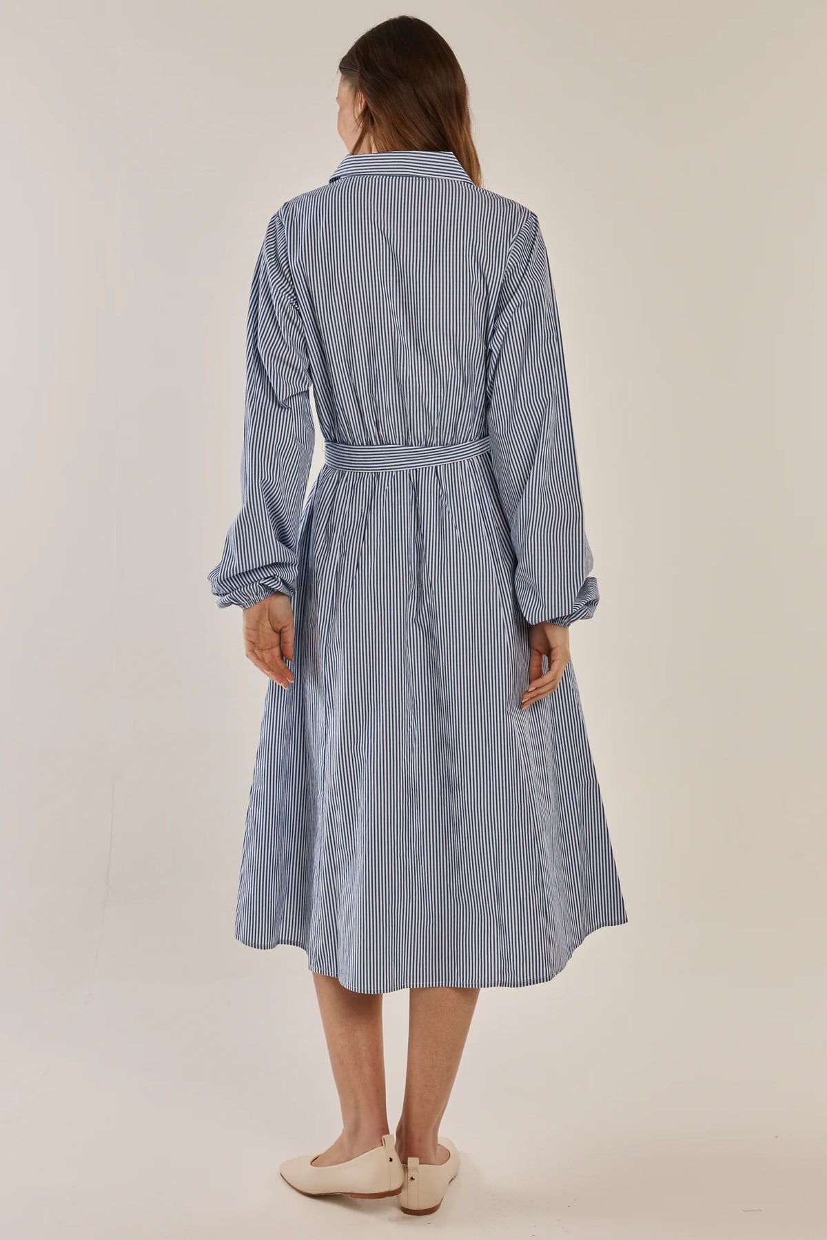 Betty Basics | Amelia Shirt Dress