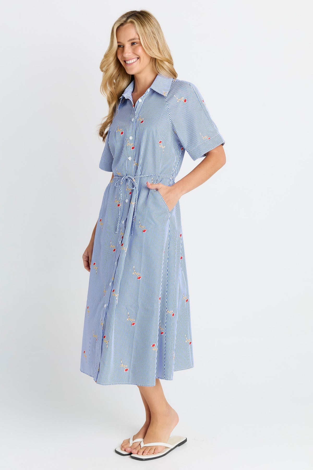 Betty Basics | Shelley Shirt Dress