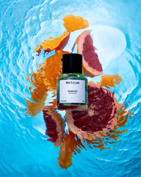 Who Is Elijah | Perfume