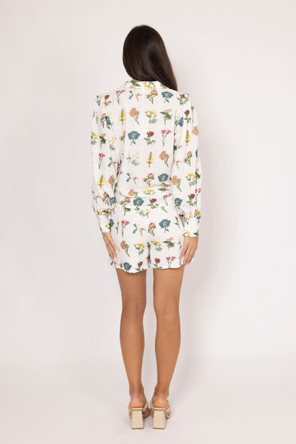 The Bay | Botanical Short